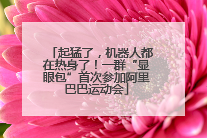 起猛了，机器人都在热身了！一群“显眼包”首次参加阿里巴巴运动会