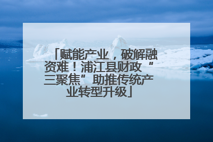 赋能产业，破解融资难！浦江县财政“三聚焦”助推传统产业转型升级