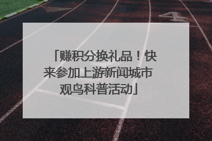 赚积分换礼品！快来参加上游新闻城市观鸟科普活动