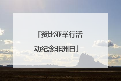 赞比亚举行活动纪念非洲日