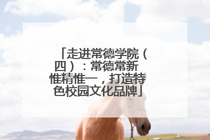 走进常德学院（四）：常德常新 惟精惟一，打造特色校园文化品牌