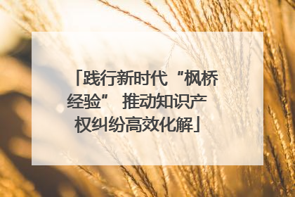 践行新时代“枫桥经验” 推动知识产权纠纷高效化解