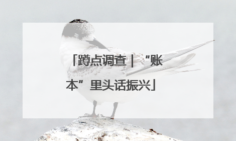 蹲点调查｜“账本”里头话振兴
