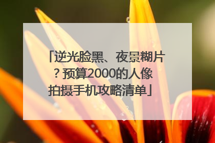 逆光脸黑、夜景糊片？预算2000的人像拍摄手机攻略清单