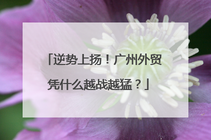 逆势上扬！广州外贸凭什么越战越猛？