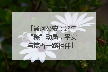 通河公安：端午“粽”动员，平安与粽香一路相伴