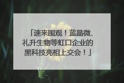 速来围观！蓝晶微、礼升生物等虹口企业的黑科技亮相上交会！