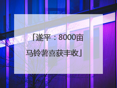 遂平：8000亩马铃薯喜获丰收