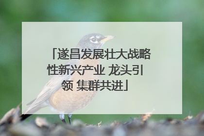 遂昌发展壮大战略性新兴产业 龙头引领 集群共进