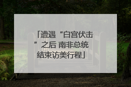 遭遇“白宫伏击”之后 南非总统结束访美行程