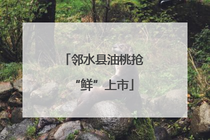 邻水县油桃抢“鲜”上市