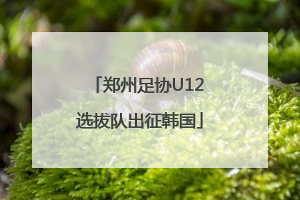郑州足协U12选拔队出征韩国