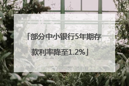 部分中小银行5年期存款利率降至1.2%
