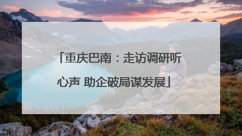 重庆巴南：走访调研听心声 助企破局谋发展