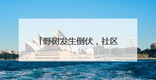 野树发生倒伏，社区4小时消除安全隐患