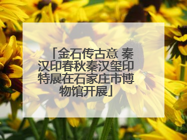 金石传古意 秦汉印春秋秦汉玺印特展在石家庄市博物馆开展