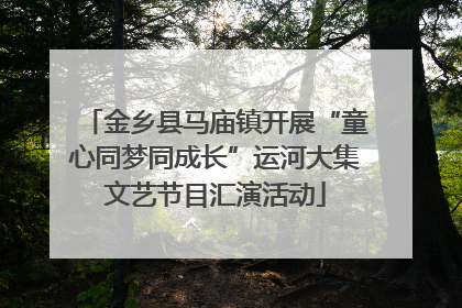 金乡县马庙镇开展“童心同梦同成长”运河大集文艺节目汇演活动