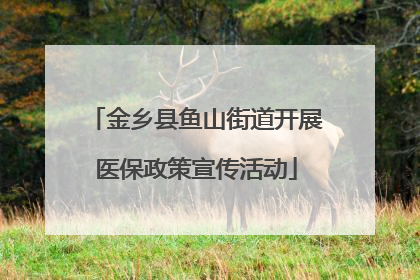 金乡县鱼山街道开展医保政策宣传活动