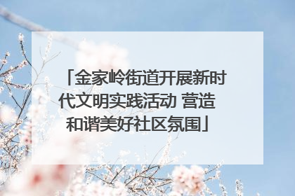 金家岭街道开展新时代文明实践活动 营造和谐美好社区氛围