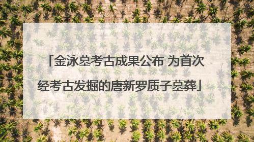 金泳墓考古成果公布 为首次经考古发掘的唐新罗质子墓葬