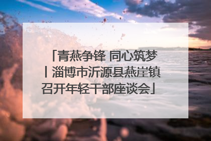 青燕争锋 同心筑梦丨淄博市沂源县燕崖镇召开年轻干部座谈会