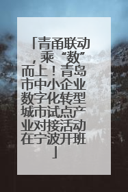 青甬联动，乘“数”而上！青岛市中小企业数字化转型城市试点产业对接活动在宁波开班