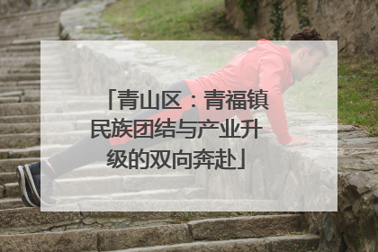 青山区：青福镇民族团结与产业升级的双向奔赴