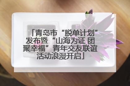青岛市“脱单计划”发布暨“山海为证 团聚幸福”青年交友联谊活动浪漫开启