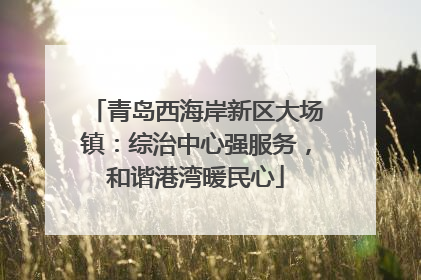 青岛西海岸新区大场镇：综治中心强服务，和谐港湾暖民心