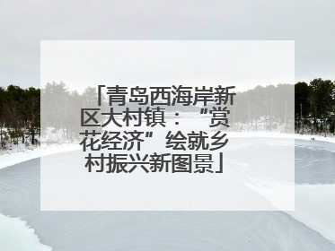 青岛西海岸新区大村镇：“赏花经济”绘就乡村振兴新图景