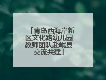 青岛西海岸新区文化路幼儿园教师团队赴岷县交流共建
