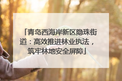青岛西海岸新区隐珠街道：高效推进林业执法，筑牢林地安全屏障