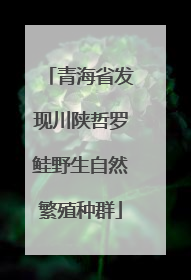 青海省发现川陕哲罗鲑野生自然繁殖种群
