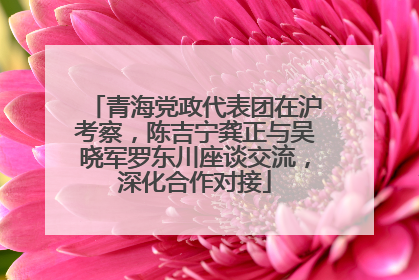 青海党政代表团在沪考察，陈吉宁龚正与吴晓军罗东川座谈交流，深化合作对接
