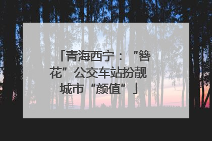 青海西宁：“簪花”公交车站扮靓城市“颜值”