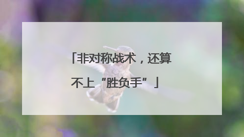 非对称战术，还算不上“胜负手”