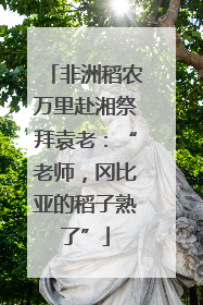 非洲稻农万里赴湘祭拜袁老：“老师，冈比亚的稻子熟了”
