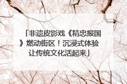 非遗皮影戏《精忠报国》燃动街区！沉浸式体验让传统文化活起来
