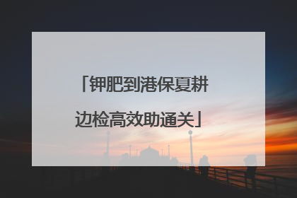 钾肥到港保夏耕 边检高效助通关