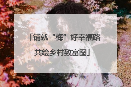 铺就“梅”好幸福路 共绘乡村致富图