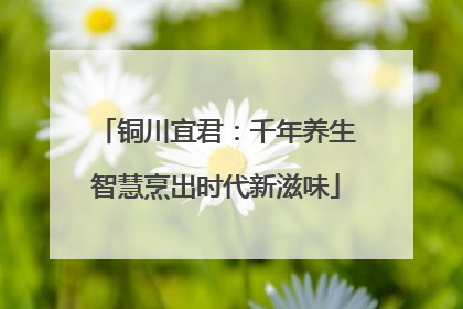 铜川宜君：千年养生智慧烹出时代新滋味
