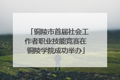 铜陵市首届社会工作者职业技能竞赛在铜陵学院成功举办
