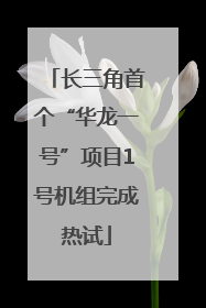 长三角首个“华龙一号”项目1号机组完成热试