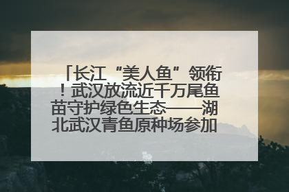 长江“美人鱼”领衔！武汉放流近千万尾鱼苗守护绿色生态——湖北武汉青鱼原种场参加2025年“全国放鱼日”增殖放流活动