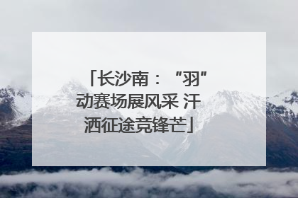 长沙南：“羽”动赛场展风采 汗洒征途竞锋芒
