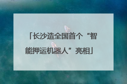 长沙造全国首个“智能押运机器人”亮相