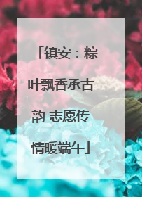 镇安：粽叶飘香承古韵 志愿传情暖端午