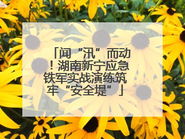 闻“汛”而动！湖南新宁应急铁军实战演练筑牢“安全堤”