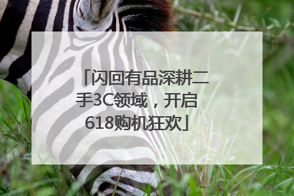 闪回有品深耕二手3C领域，开启618购机狂欢