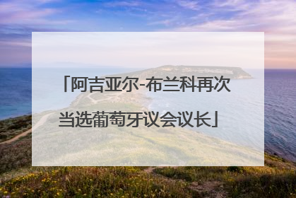 阿吉亚尔-布兰科再次当选葡萄牙议会议长